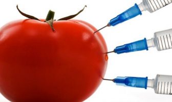 Nema čvrstih garancija da hrane sa prisustvom GMO nema na tržištu BiH Nema čvrstih garancija da hrane sa prisustvom GMO nema na tržištu BiH