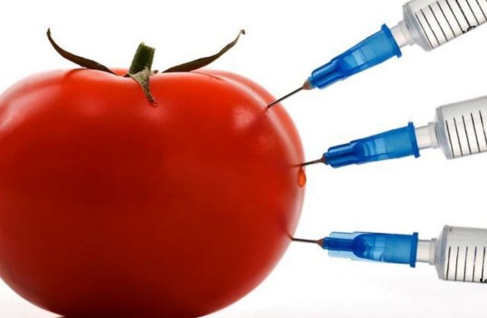 Nema čvrstih garancija da hrane sa prisustvom GMO nema na tržištu BiH