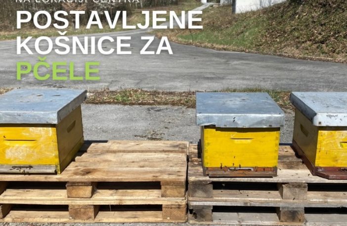 Radioaktivnost na Trgovskoj gori hrvatski stručnjaci ispituju uz pomoć pčela