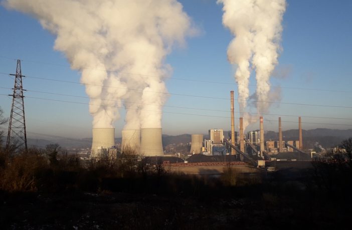Novi „zeleni“ projekat Elektroprivrede BiH: Uzgojem biomase za termoelektrane smanjila bi se potrošnja uglja
